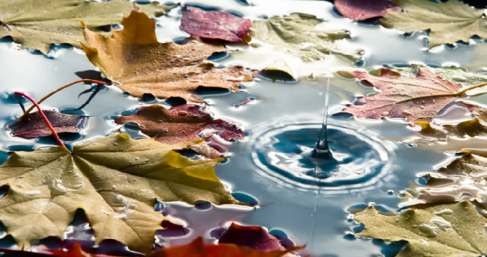 Неделя в Украине завершится дождями и непродолжительным потеплением