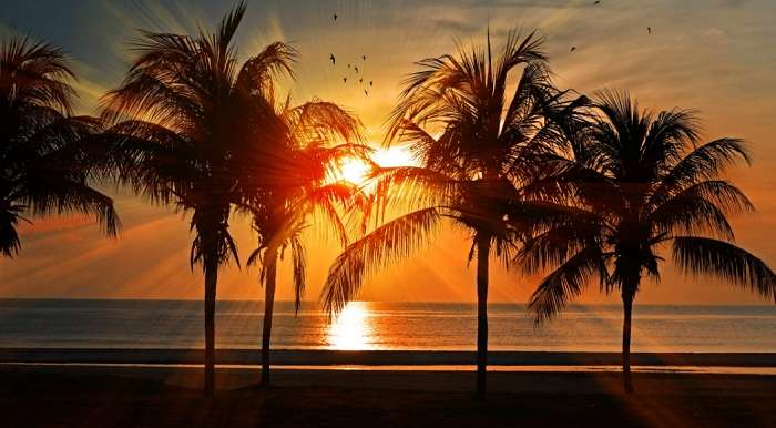 Криклій назвав 5 країн, готових приймати у себе українців