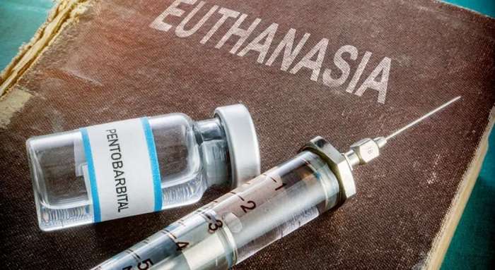 В Іспанії дали добро евтаназії