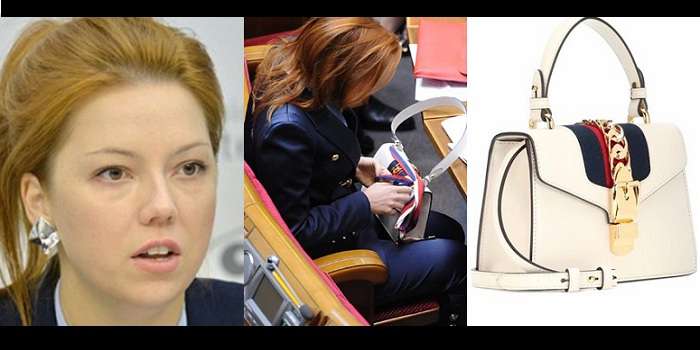 Представительница «Батькивщины» показала сумку за $2590