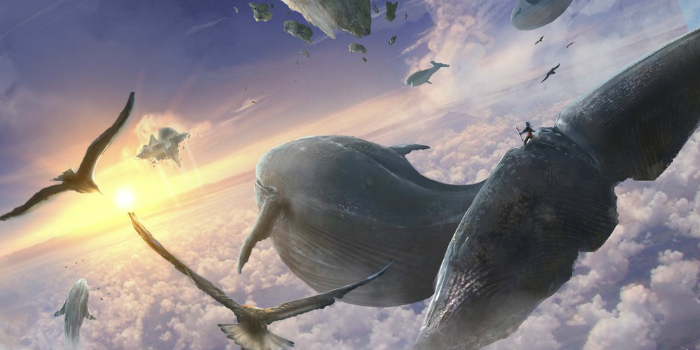 В Киеве задержали администраторов групп «Синий кит»