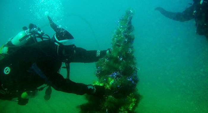 Крымские оккупанты предложили праздновать Новый год под водой и в компании эзотериков