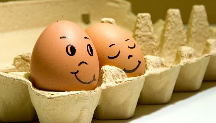 Еще больше украинских яиц будет продаваться в странах ЕС