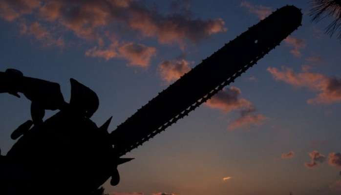 В Швейцарии разыскивают агрессивного мужчину с бензопилой