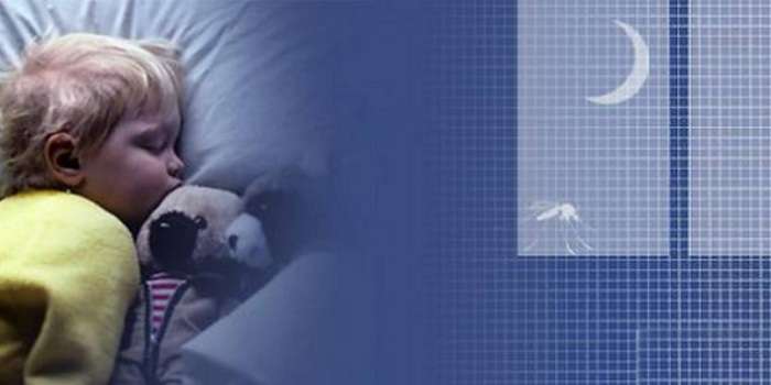 Москитная сетка: Не дайте мельчайшим насекомым пробраться в ваш дом