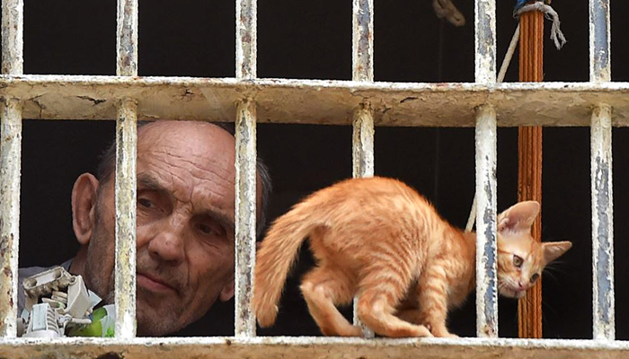 Популистская игра в амнистию