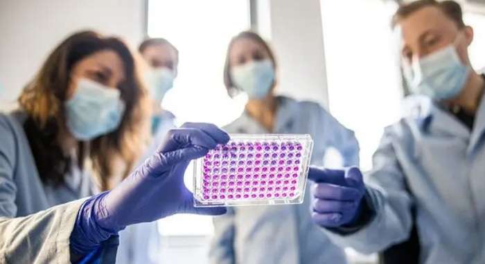 Французская компания выпустит свою вакцину от ковида