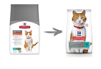 Основы питания котов после стерилизации