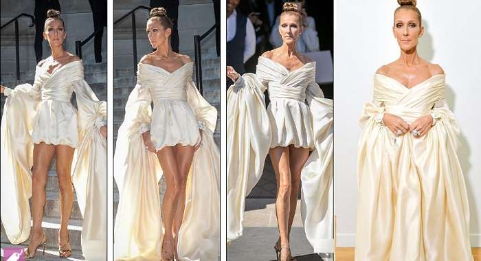 Селин Дион показала стильное платье