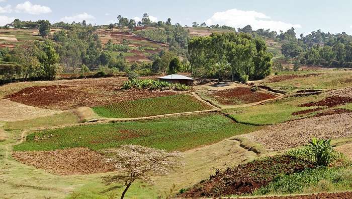 Метеорологи спрогнозировали Украине необратимые пагубные катаклизмы (ВИДЕО)