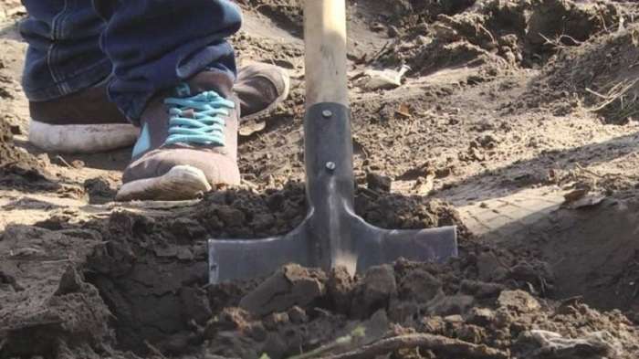 Черниговские школьники на уроке случайно откопали клад (ВИДЕО)