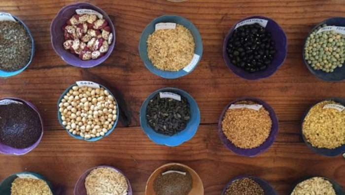 Купите правильные посевные материалы и наслаждайтесь результатом