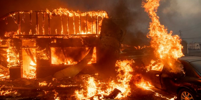 Лесные пожары в Калифорнии унесли жизни 42 человек