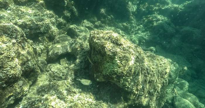 Рівнянку, яка потонула в Єгипті, повернуть на батьківщину