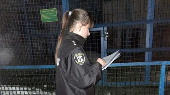 На Чернігівщині тигр загриз співробітника зоопарку