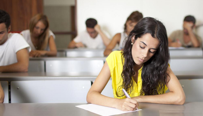 МОН представило новые модели обучения для нацменьшинств в Украине