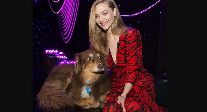 Известная актриса прибыла на вечеринку с овчаркой