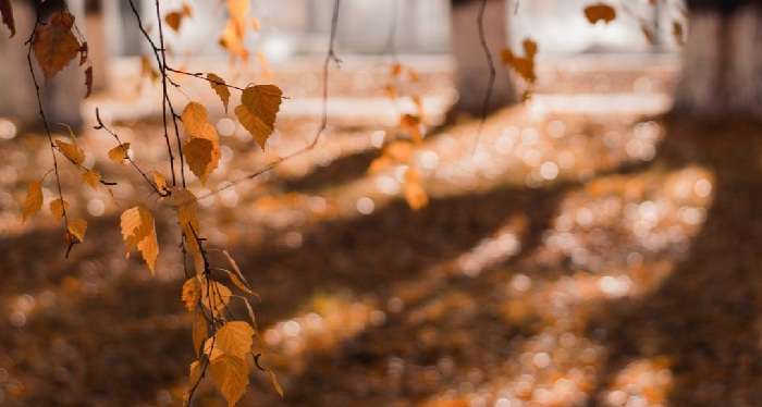 Синоптик рассказала, когда в Украине холод заменит тепло