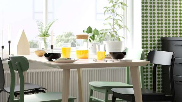 Карпатський ліс не для стільців IKEA – Шведська компанія відреагувала на незаконну вирубку лісів