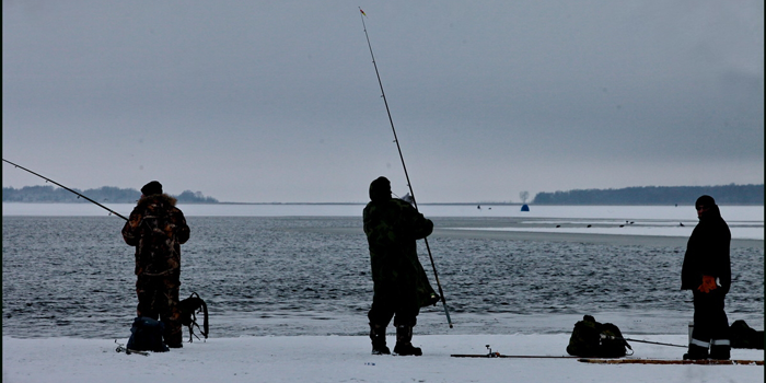 В Охотське море на крижині віднесло 20 рибалок