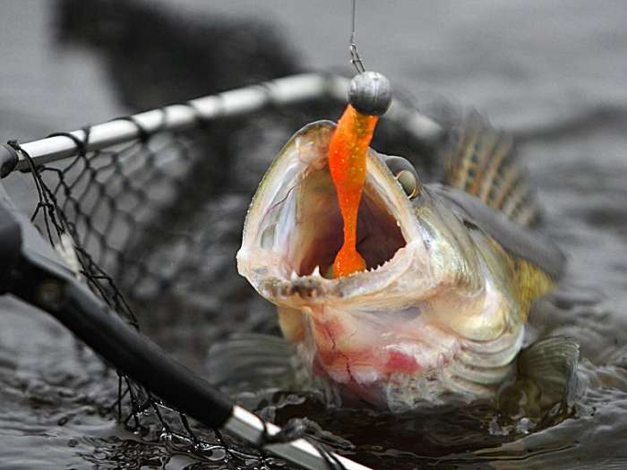 Безупречные рыболовные снасти от японского монстра Keitech