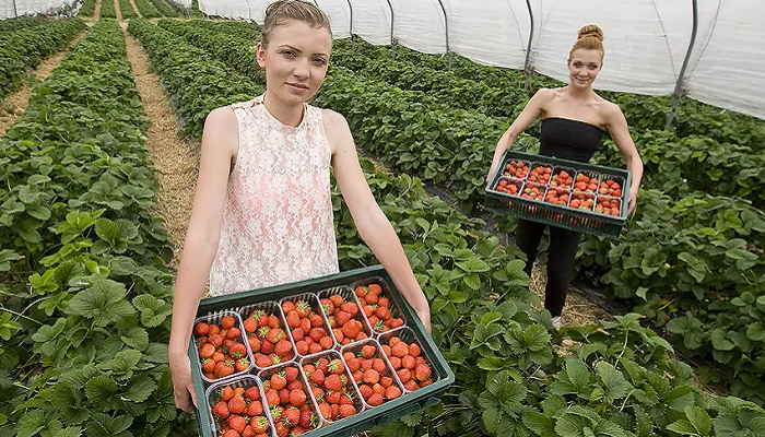 В Польше иностранцы будут доплачивать за возможность трудоустройства