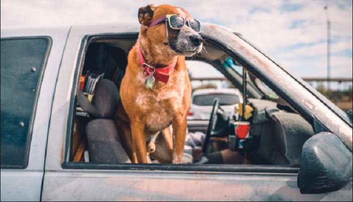 Советы автомобилистам, которые сохранят деньги