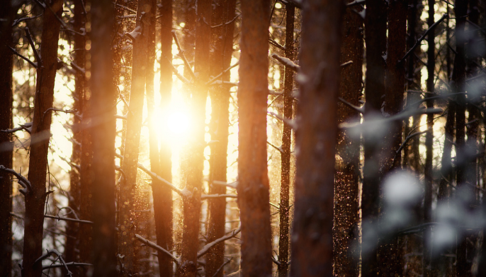 Синоптики пообещали украинцам потепление после похолодания