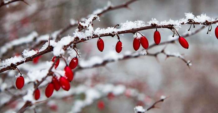 Зима в Украине начнется снегом