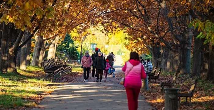 «Жовта» карантинна зона в Україні незначно розширилася