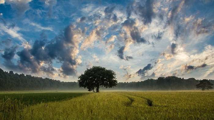 Депутати України все продали і підготували на експорт рабів – письменник