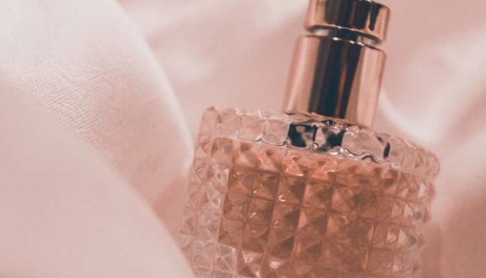 Самый точный гид по женским духам