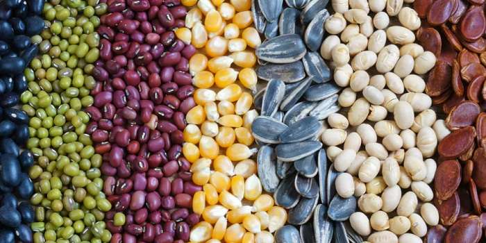 Используйте земельный участок с умом – садите только качественные семена