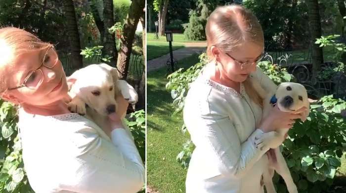 Тимошенко завела собаку