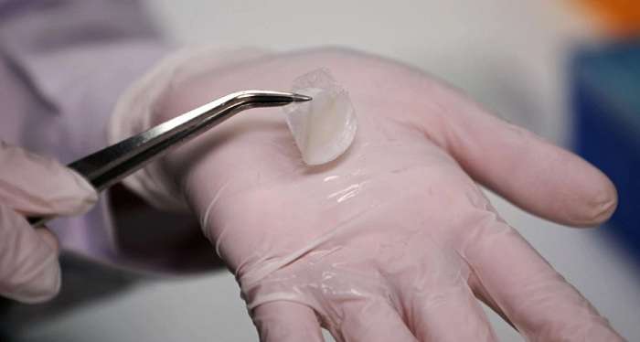 Ученые Сингапура научились печатать человеческую кожу