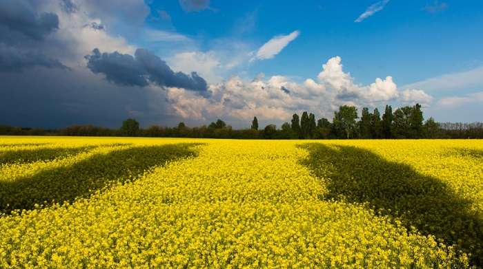 Міністр назвав головні причини скорочення населення в Україні
