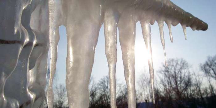 Во Львове упавшая с крыши Преображенской церкви глыба льда убила женщину (ФОТО) (ВИДЕО)