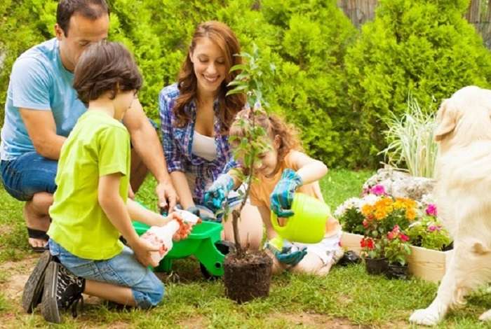 Правила посадки декоративных растений