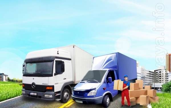 Как подготовиться к переезду: упаковка и поиск транспорта