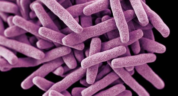 Туберкулез – болезнь, которая может затронуть абсолютно каждого