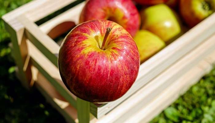 В Украине резко подорожали яблоки