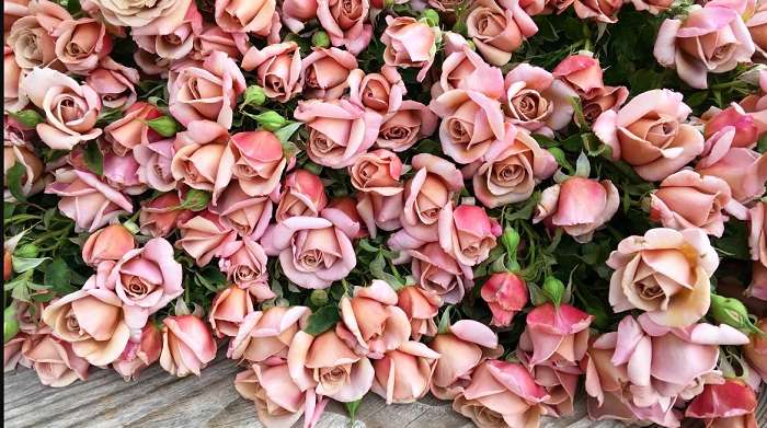 Букеты – Теперь нет никаких ограничений