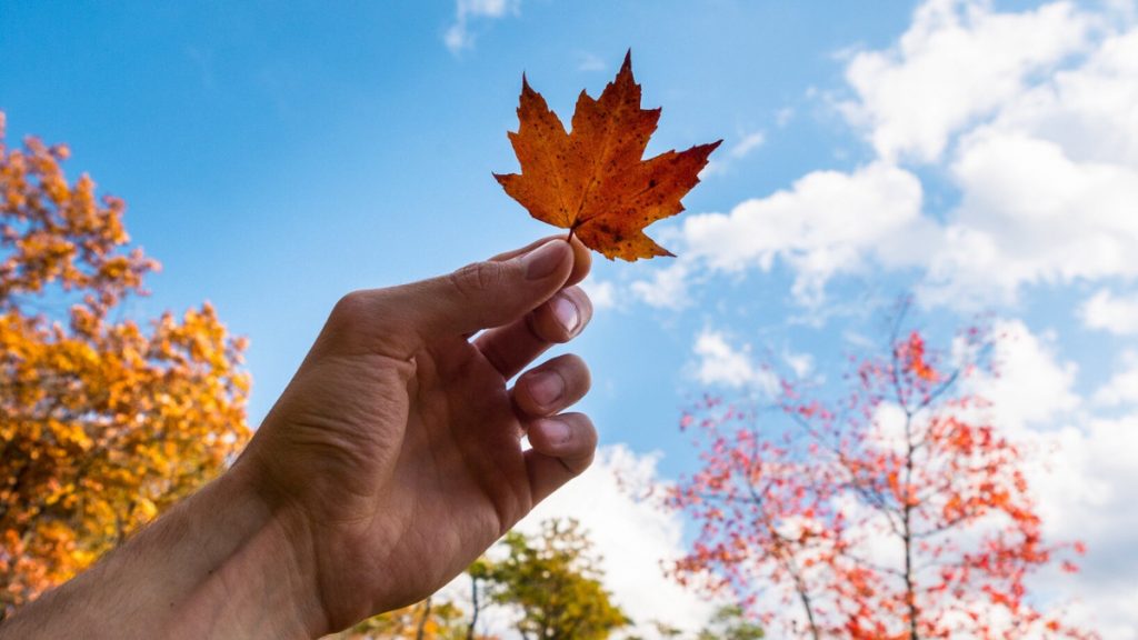 Листопад принесе сонячні вихідні: де буде найтепліше Листопад принесе сонячні вихідні: де буде найтепліше