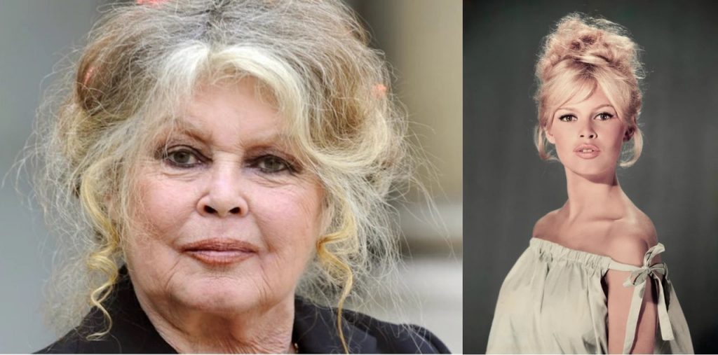 Померла Бріджит Бардо: що відомо про акторку, яка змінила обличчя французького кіно
