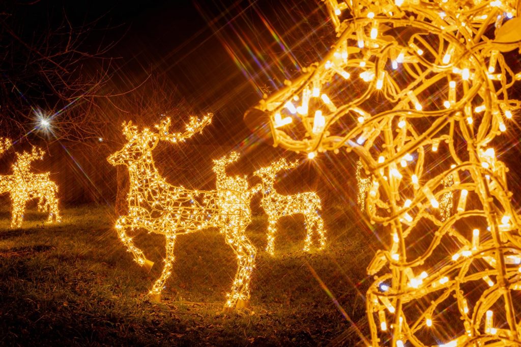 "Зимова країна" на ВДНГ 2025: ковзанка, резиденція Санти та розваги для родини — графік роботи та ціни