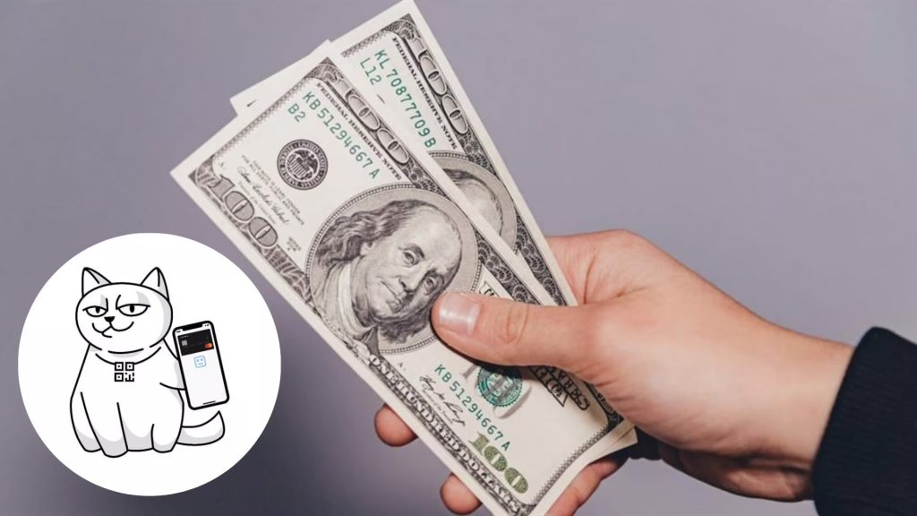 monobank запустив інвестування валюти: що відомо про новий сервіс та як заробляти на доларах і євро під відсотки