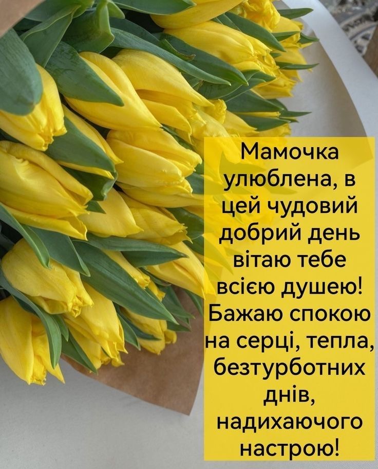 Вітаю з 8 березня: гарні привітання для мами у прозі та віршах
