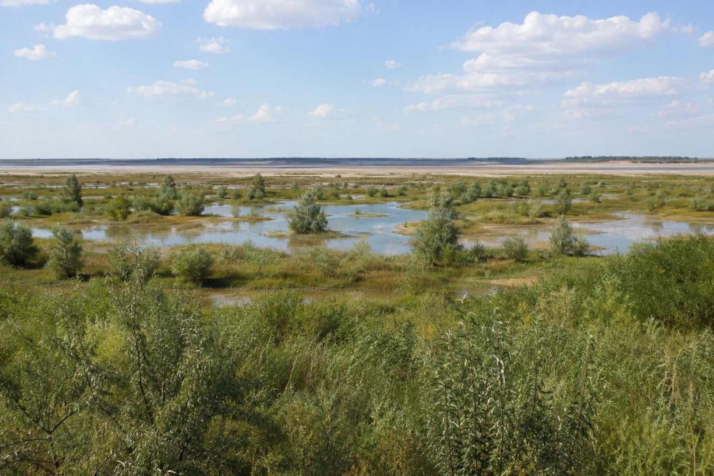 Майбутнє Каховського водосховища: чому вчені говорять про новий Великий Луг Майбутнє Каховського водосховища: чому вчені говорять про новий Великий Луг