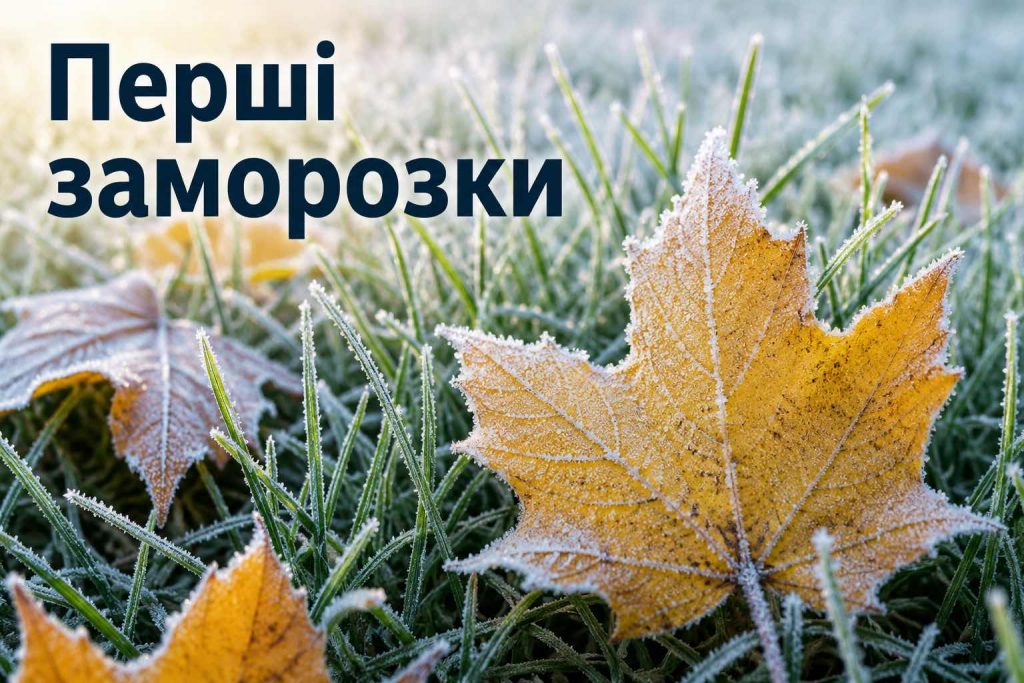 Погода восени 2026 в Україні: чи затримається тепло та коли прийдуть заморозки