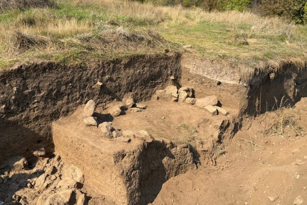 Кромлех, петрогліфи й зуби вирезуба: що показали фото й відео розкопок біля Південноукраїнська Археологічний розкоп з камінням на поселенні Гард-1 біля Південноукраїнська